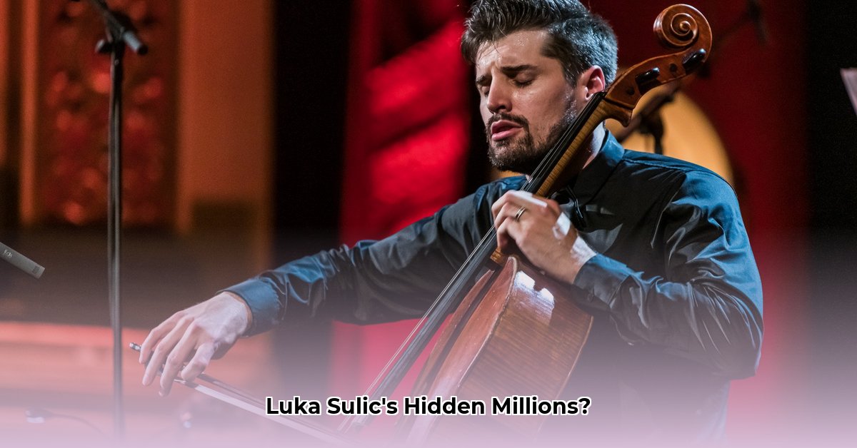 luka-sulic-net-worth